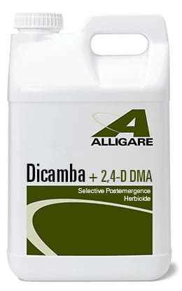 dicamba