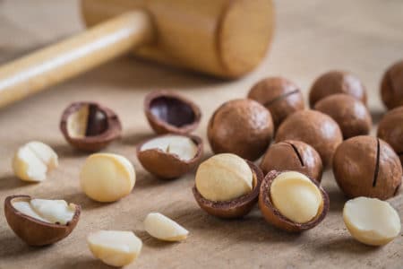 NOW Real Food Macadamia Nuts Recall Class Action Lawsuit