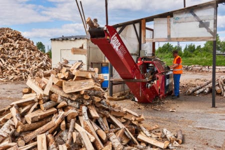 Briggs and Stratton Log Splitter Class Action Lawsuit