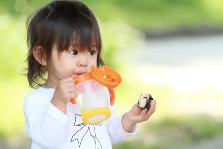 Green Sprouts Sippy Cup Class Action Lawsuit