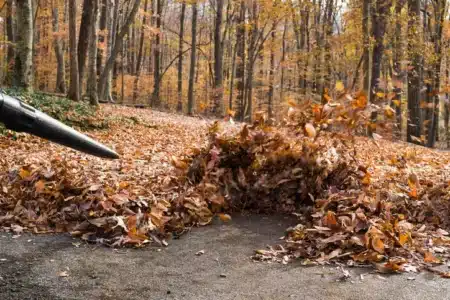 Tow-Behind Leaf Blower Recall Class Action Lawsuit
